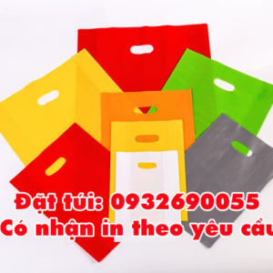 Túi hột xoài giá sỉ Quận 12
