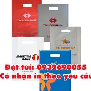 Túi hột xoài giá rẻ Gò Vấp