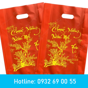 In túi nilon đựng quà Tết giá rẻ TpHCM 
